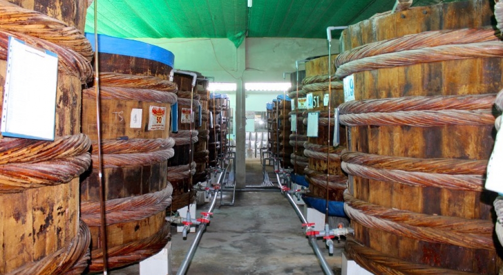 Sản xuất nước mắm